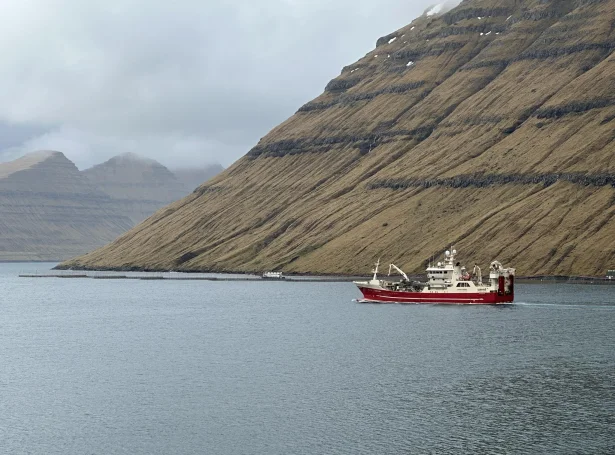 Jupiter fór seinnapartin á svartkjaftaveiðu (Mynd: Olgar Justesen)