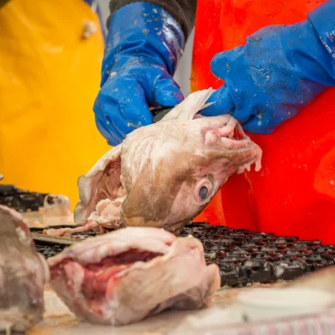 Fiskaútflutningurin vaksin yvir hálvaaðru milliard