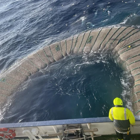 Norska skipið Nordsjøbras landar svartkjaft til Havsbrún