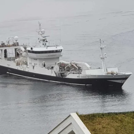 Borgarin og Vestenningur landa til Havsbrún