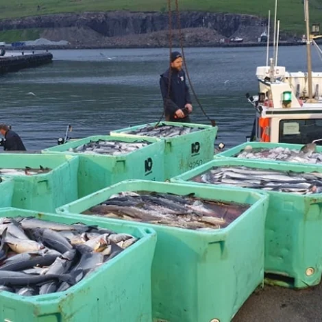 9 bátar avreiddu á Eiði