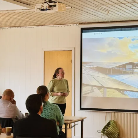 100% varandi elorka í 2030 er ikki realistiskt