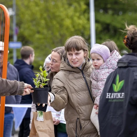 Umhvørvisvikan byrjar á Vaglinum 2. mai