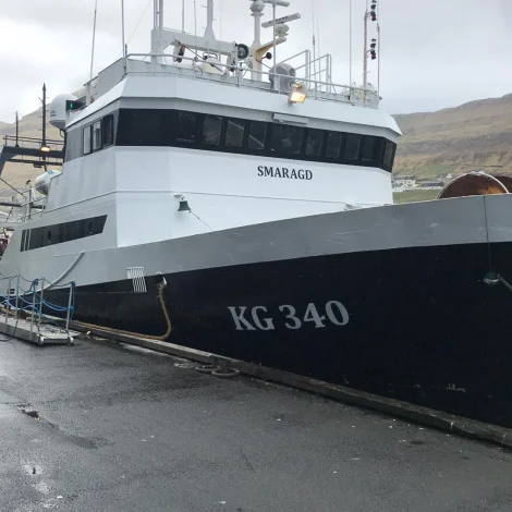 Safir og Smaragd landaðu á Kósini í gjár