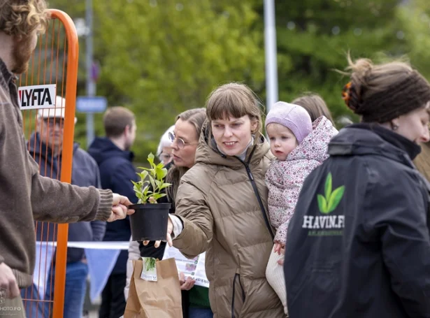Vikan byrjar við vælumtókta tiltakinum Plantið eitt træ, har Tórshavnar kommuna letur húskjum ókeypis plantupakka
