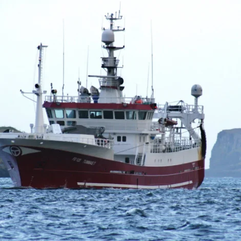 TummasT. hevur landað gulllaks á Tvøroyri