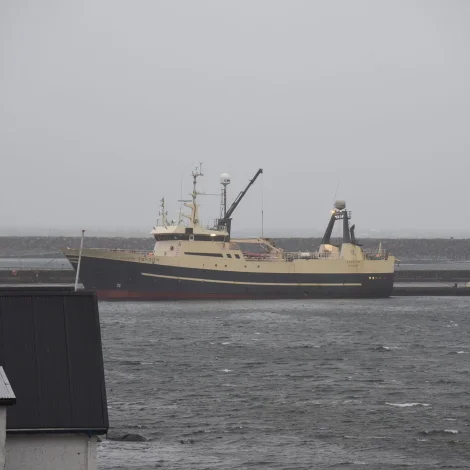 Steintór landar í Hvalba