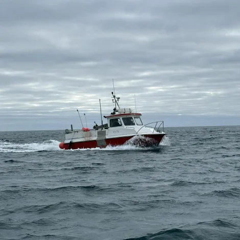 Prísir á Fiskamarknaðinum