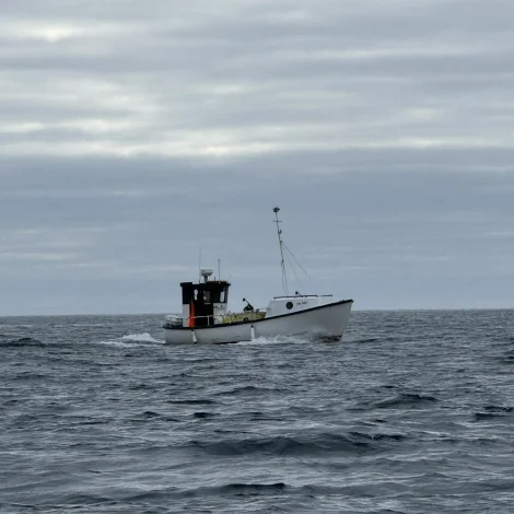 Prísir á Fiskamarknaðinum