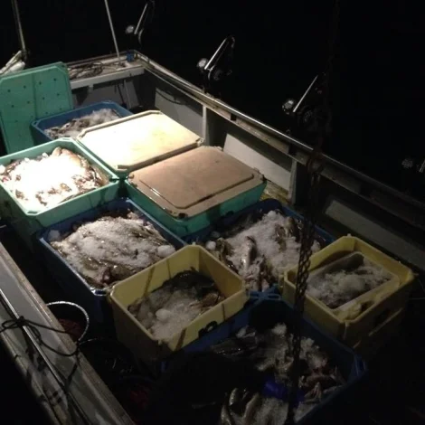 Nakrir útróðrarbátar selja á Fiskamarknaðinum