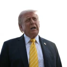 article Title