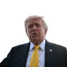 article Title