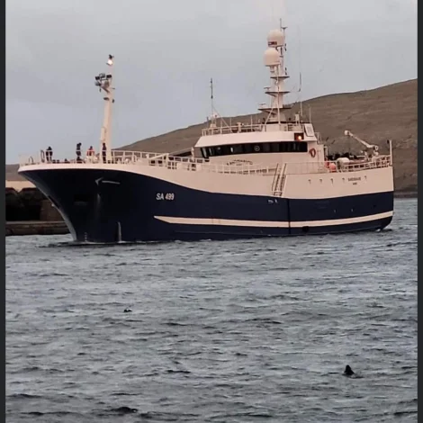 Sandshavið er komið undan Íslandi