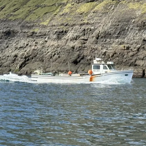 Prísir á Fiskamarknaðinum