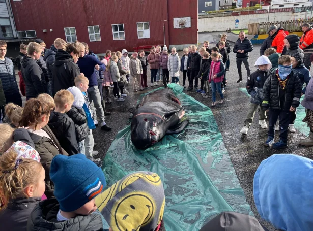 (Mynd: Skúlatrøð)