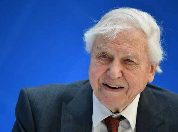 Sir David Attenborough fyllir 100 ár í dag (Mynd: Mandel Ngan/AFP/Ritzau Scanpix)