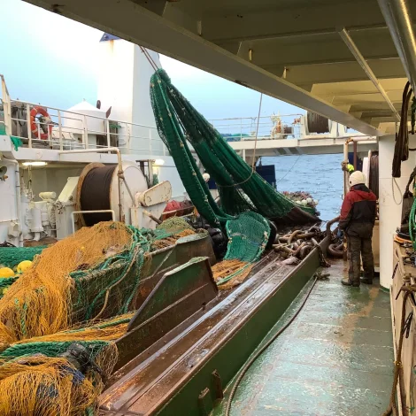 Fiskamarknaðurin metir um komandi viku