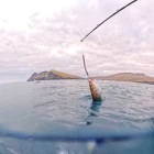 Prísir á Fiskamarknaðinum