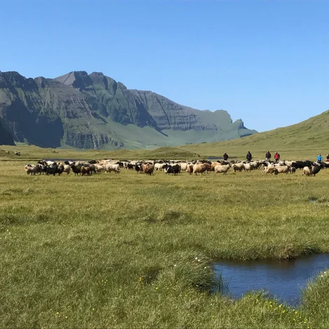 Búnaðargrunnurin hevði í 2025 eitt sítt besta úrslit higartil