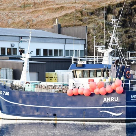 Anru avreiðir í Havn