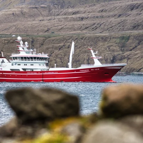 Fagraberg landar til Havsbrún