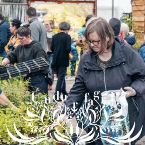 Árligi ruddingardagurin í Undurfagra mai