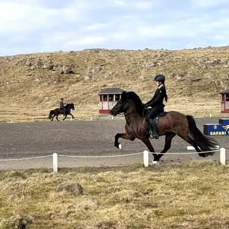 Ragnheiður Ó. Dam á hestinum Vaðall frá Dimmuborg, sum vunnu bronsu í T1, tølt (Mynd: Ríðisamband Føroya)