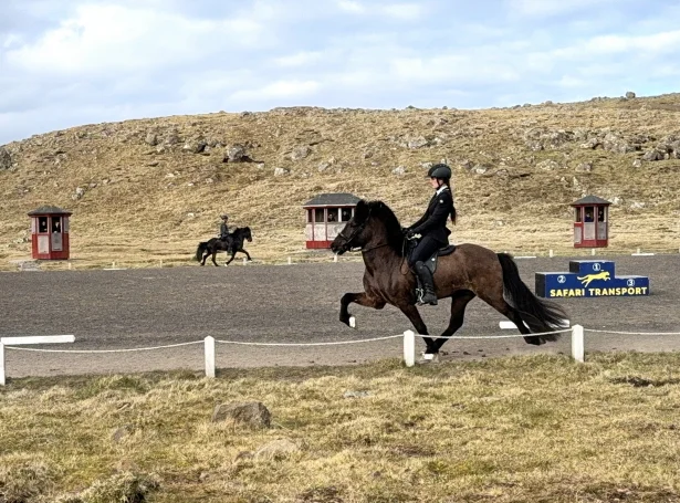 Ragnheiður Ó. Dam á hestinum Vaðall frá Dimmuborg, sum vunnu bronsu í T1, tølt (Mynd: Ríðisamband Føroya)