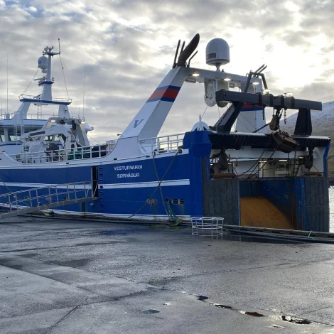 Vesturvarði landaði í gjár