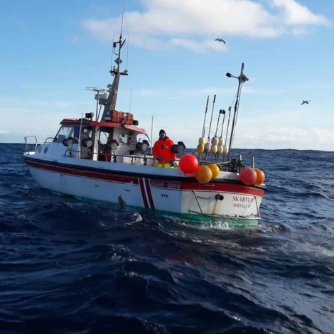 15 útróðrarbátar selja á Fiskamarknaðinum