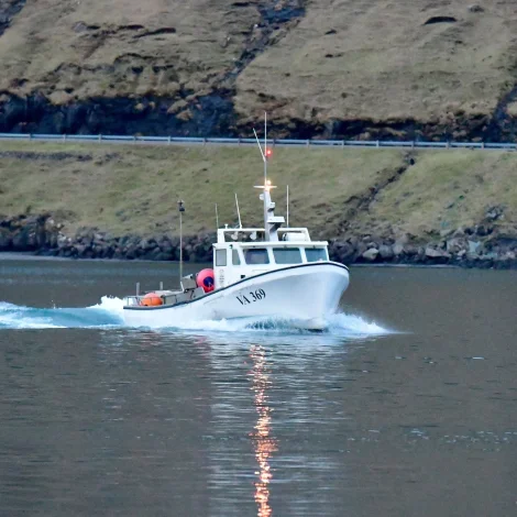 Nógvir útróðrarbátar selja á Fiskamarknaðinum