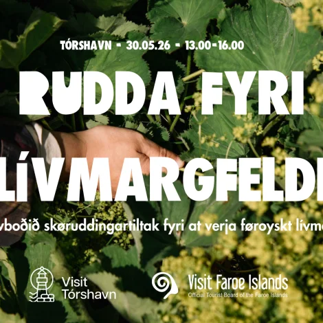 Føroyingar og vitjandi rudda fyri náttúruna