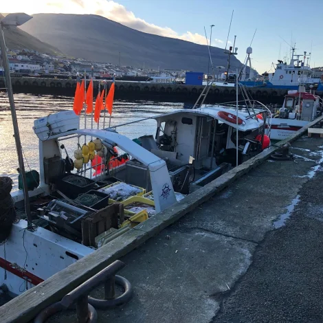 4 útróðrarbátar selja á Fiskamarknaðinum