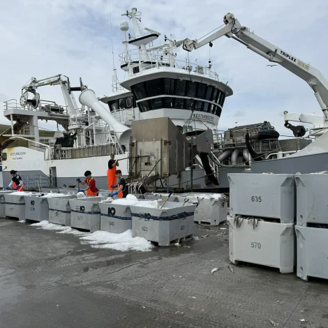 Vesturbúgvin landar gulllaks í Miðvági