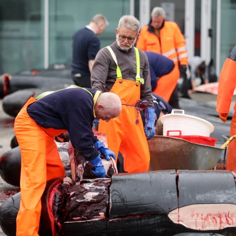 Heimapartarnir í Havn kunnu heintast klokkan 15