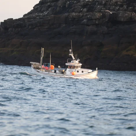 Nógvir útróðróðrarbátar selja á Fiskamarknaððinum
