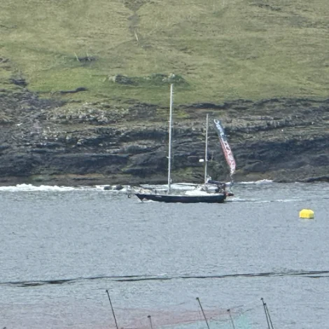 Nakrir útrróðrarbátar selja á Fiskamarknaðinum