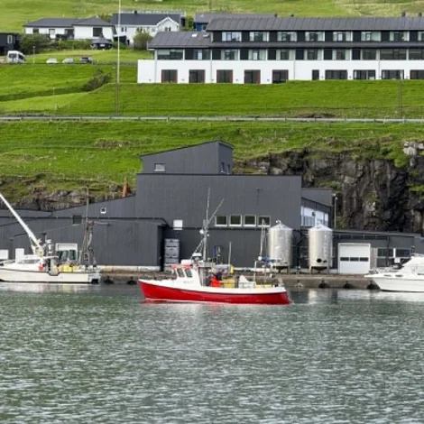 Nakrir bátar selja á Fiskamarknaðinum