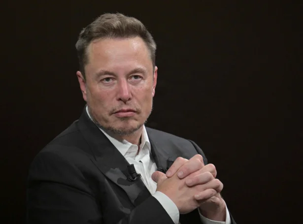 Elon Musk (Savnsmynd: Alain Jocard/AFP/Ritzau Scanpix)