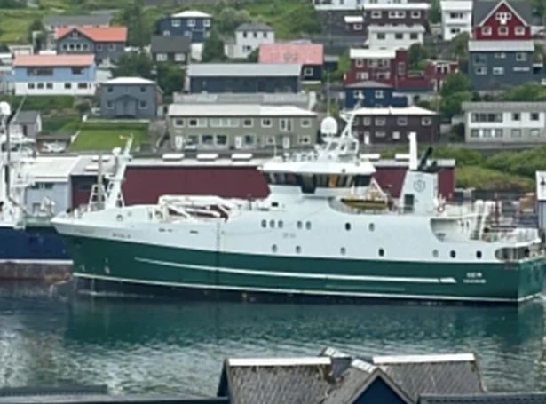 Seir (Mynd: Bent Torfinsson Hansen)