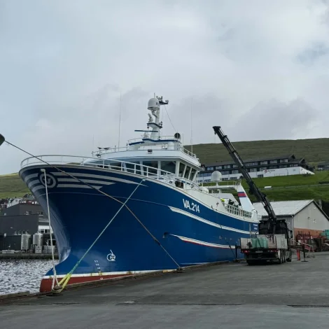 Vesturvarði landar svartkalva í Miðvági