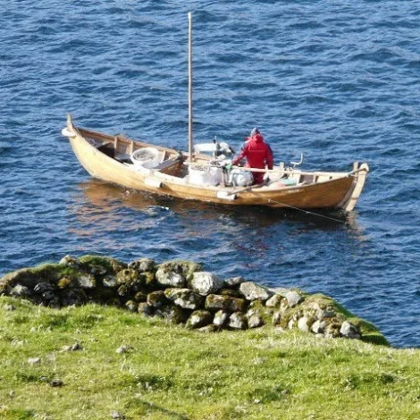15 bátar selja á Fiskamarknaðinum