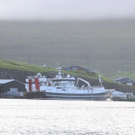 Borgarin og Norðingur landa gulllaks í Miðvági