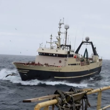 Steintór landaði fríggjadagin í Hvalba