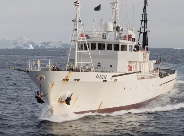 (Mynd: Captain Paul Watson Foundation)