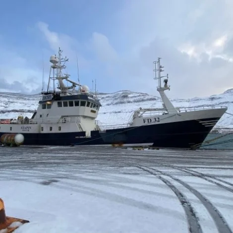 Trý frystilínuskip selja á Fiskamarknaðinum