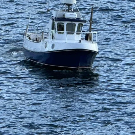 Nógvur útrróðrarfiskur boðin út á Fiskamarknaðinum