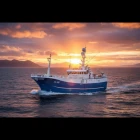 Sandshavið selur frystan fisk á Fiskamarknaðinum