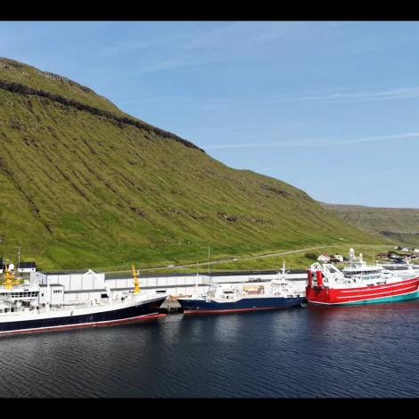 Grønlendsk uppsjóvarskip landað í Kollafirði