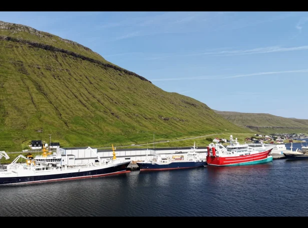 Polar Ammassak og Polar Amaroq hava landað makrel í Kollafirði (Mynd: Sigmund av Teigum)
